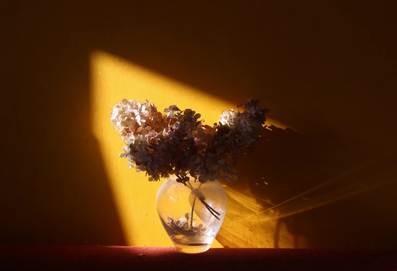 a vase of dried flowers sitting on a table