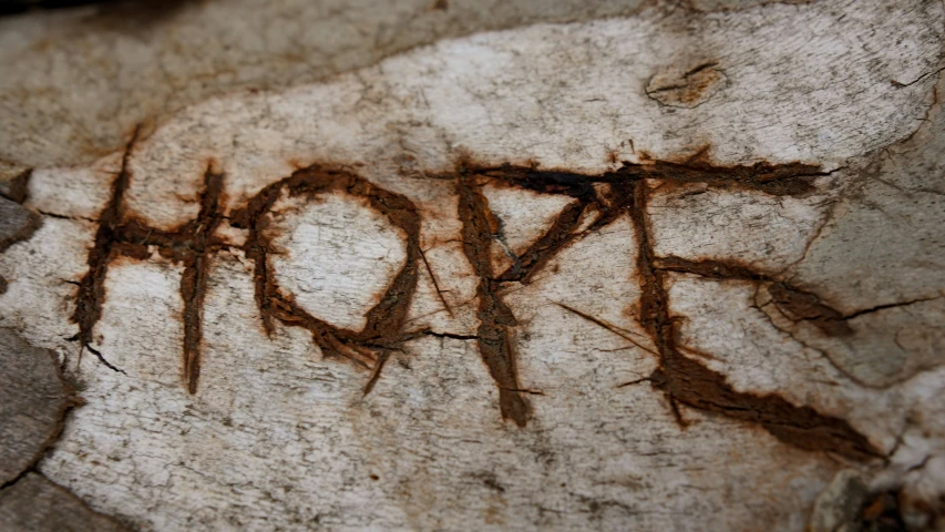 close up of the word hope carved into a rock