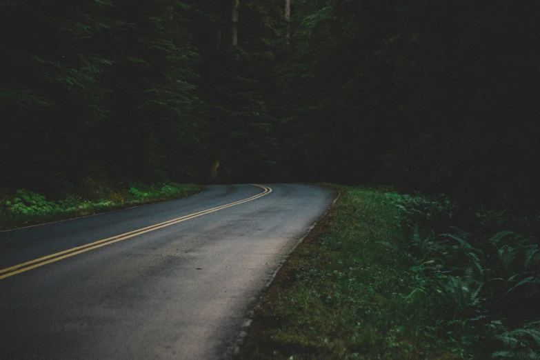 a road surrounded by forest on a hill side