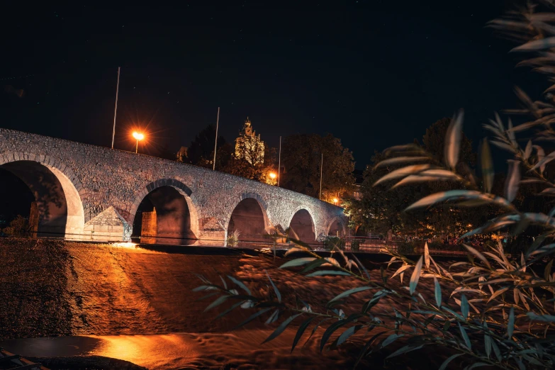 a lit - up bridge and trees at night