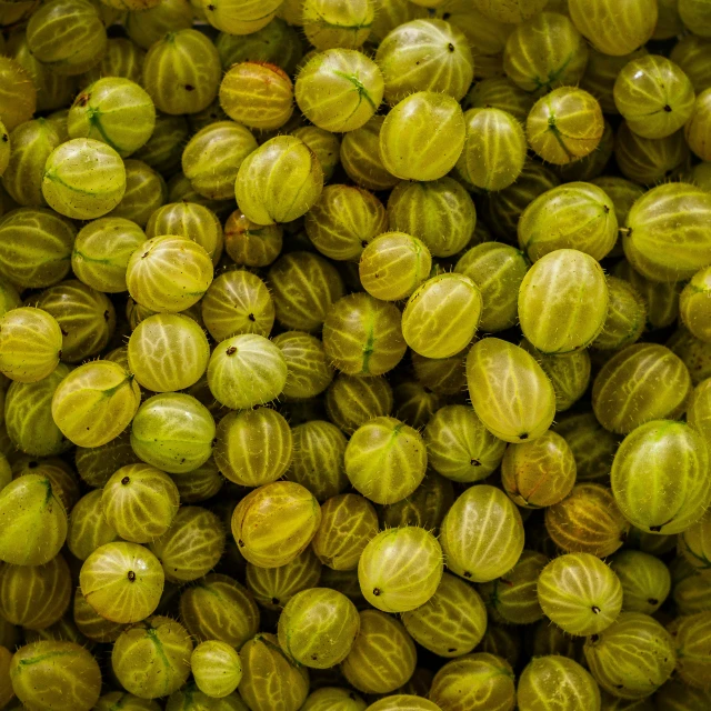 close up po of green gourds in the fruit market