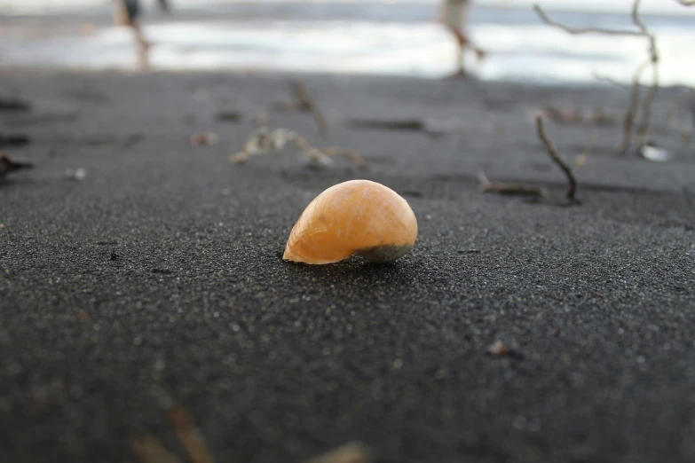 there is an orange on a black beach