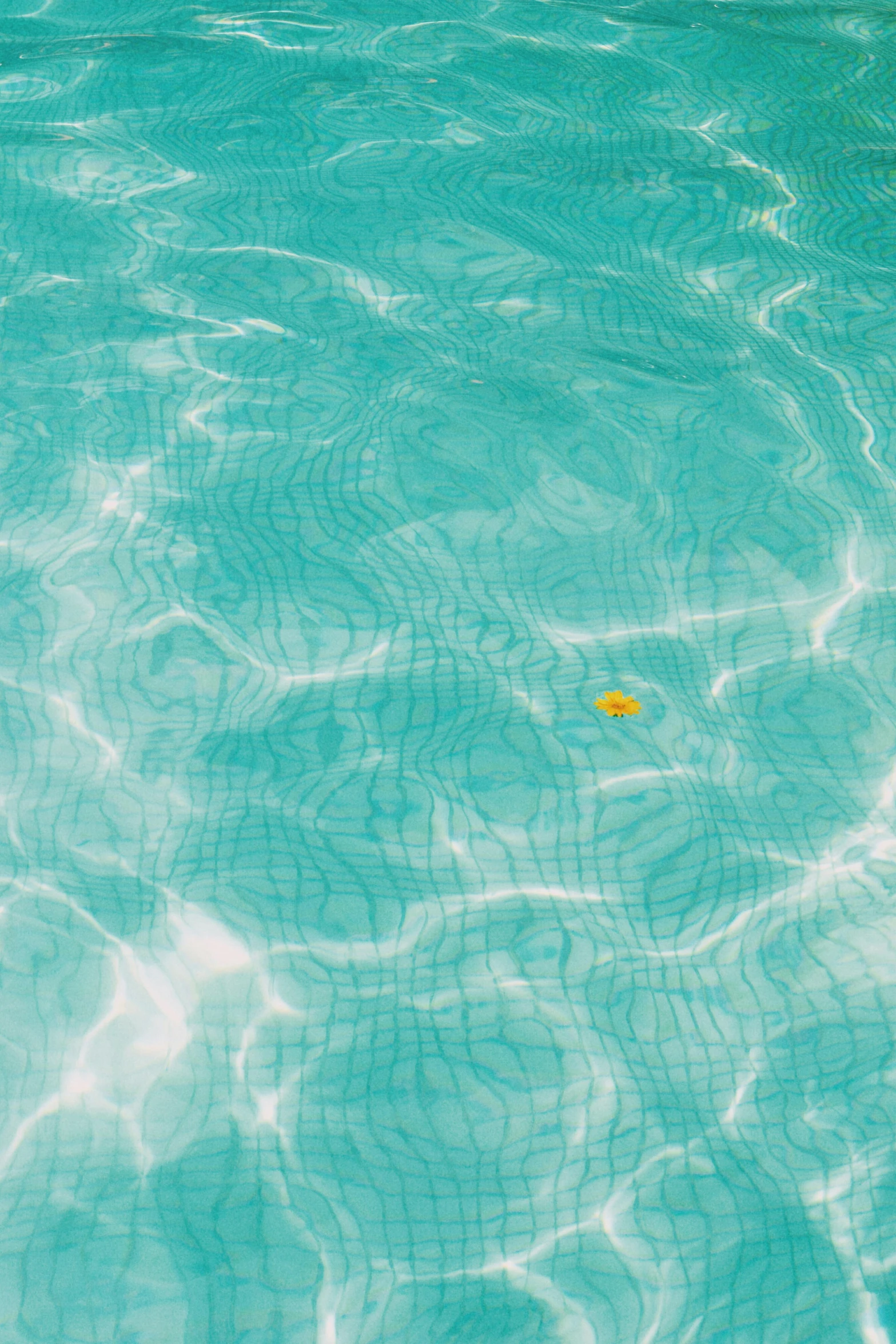 an empty pool with clear blue water