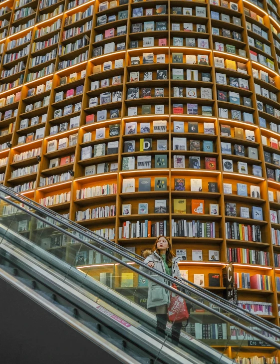 a very large bookcase that has a person on an escalator