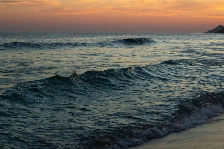 a bird standing on the beach in front of a sunset