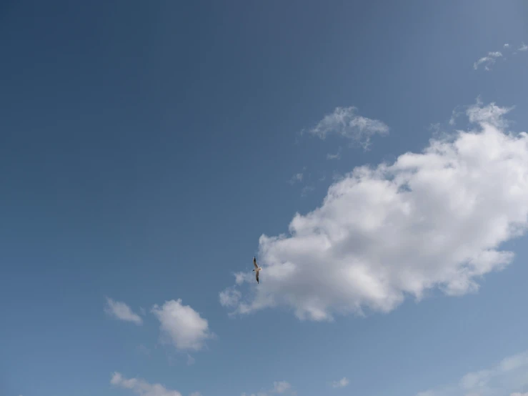 the airplane has no propellers flying through the sky