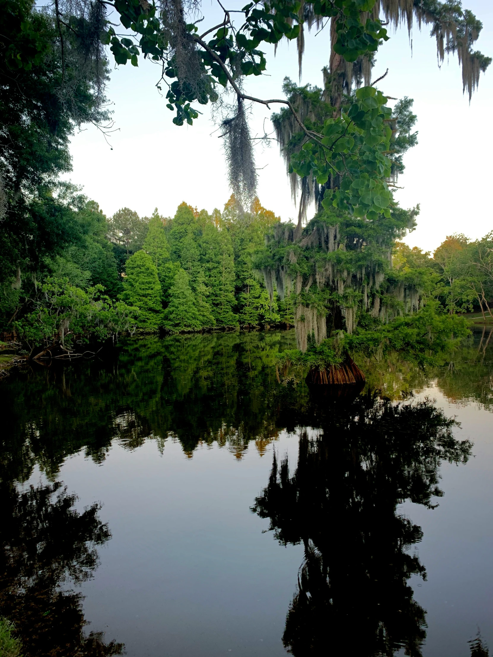 a lake surrounded by lots of trees in front of the water