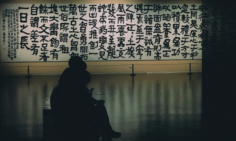 a person in silhouette standing in front of an oriental display