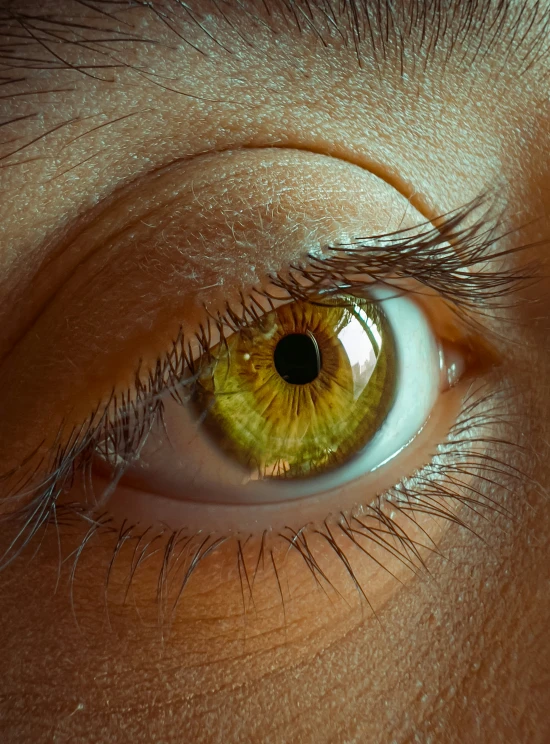 the yellow eye of a young man, is reflected in the lens