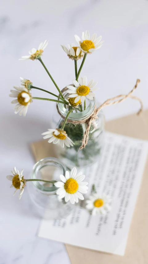 an empty jar holds daisies and an envelope