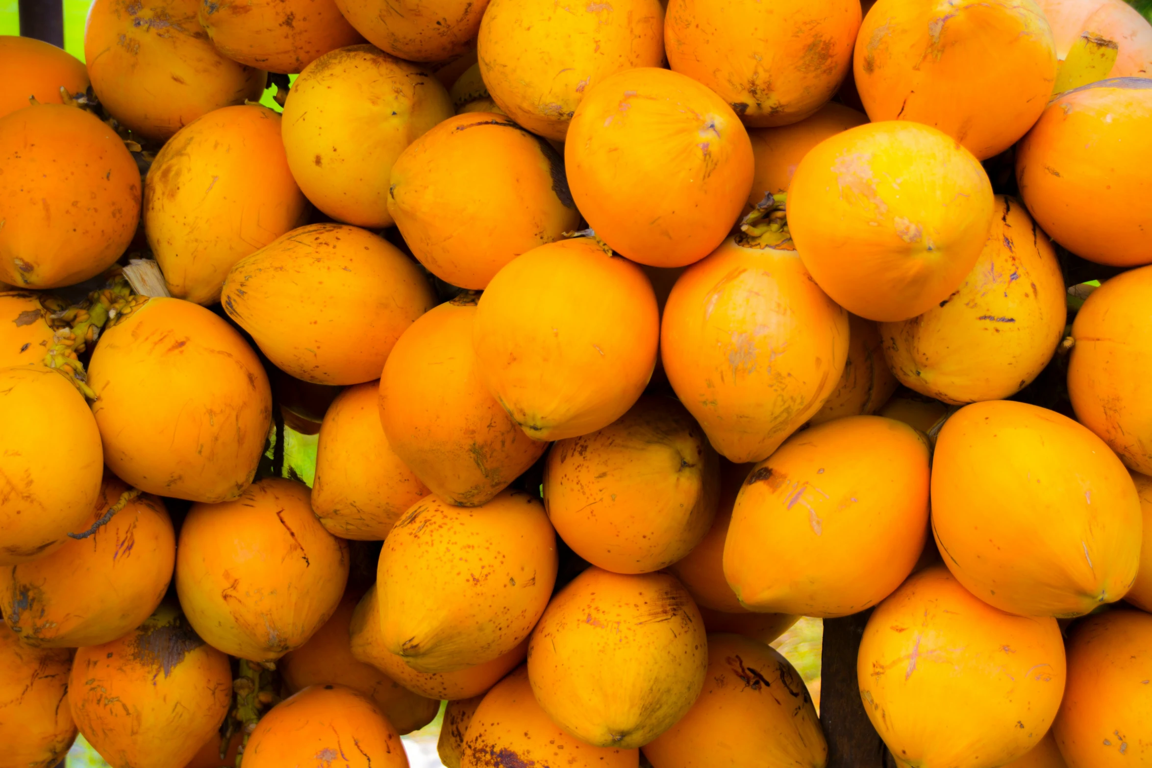 there are bunches of fruits stacked high