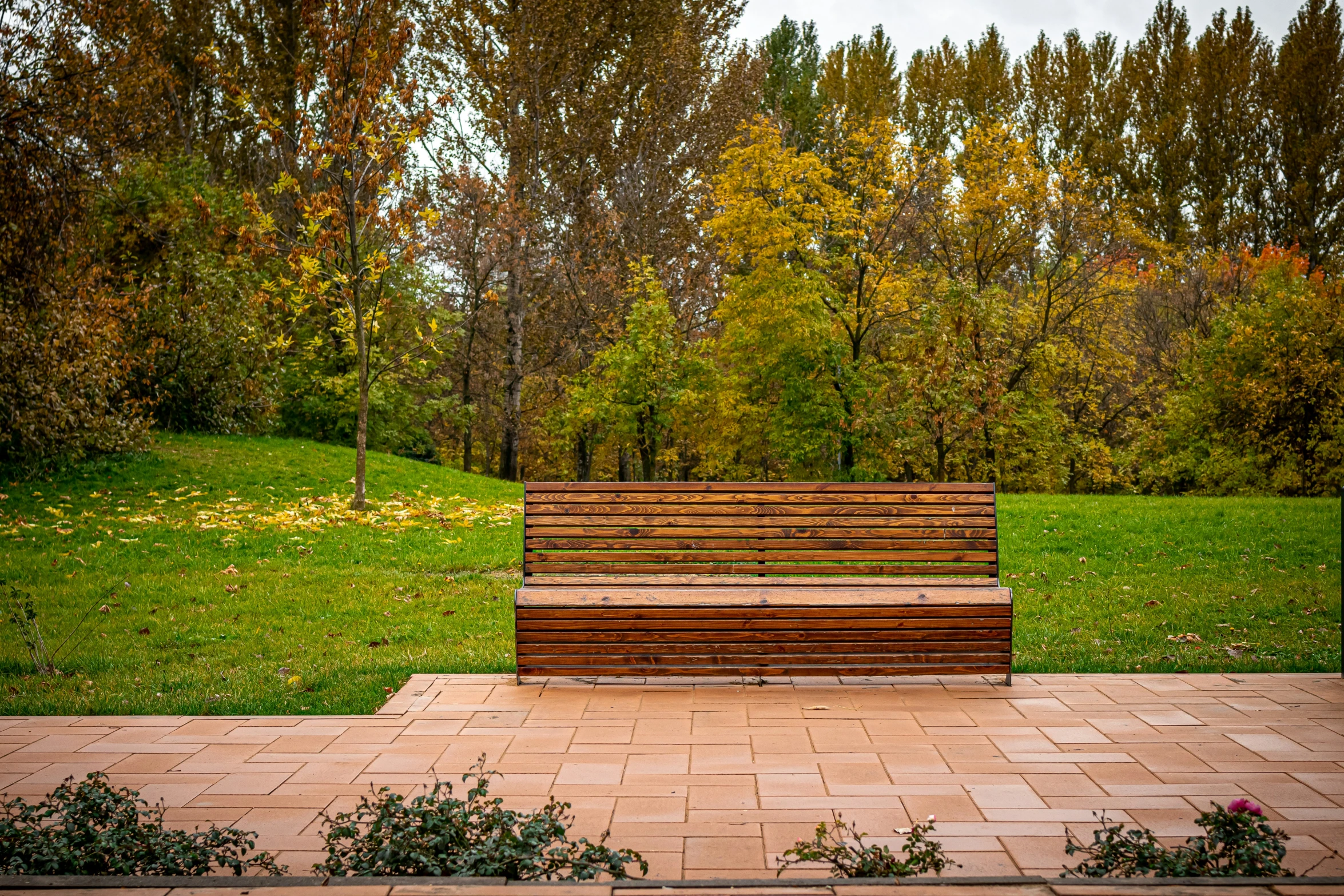 a park bench on the grass and path