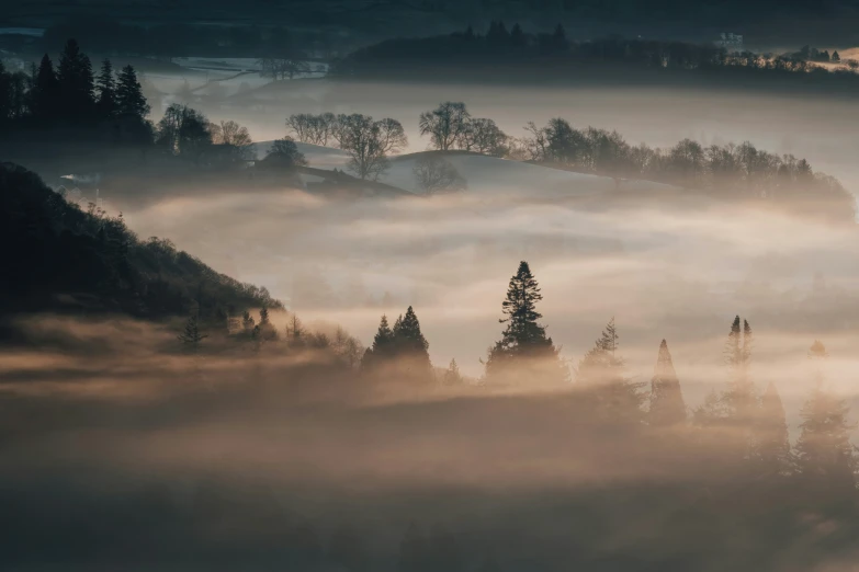 the clouds and the trees are covered by the low lying mist