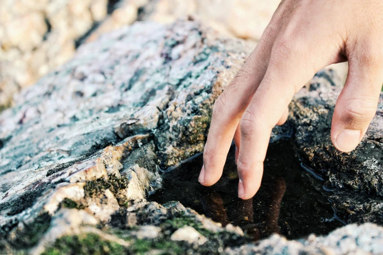 a person reaching for some kind of rock