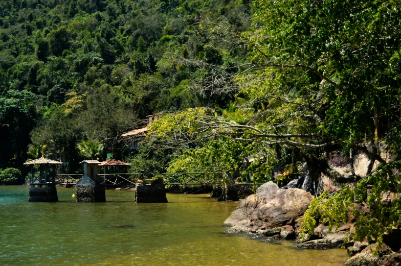 there is some rocks in the water and trees around