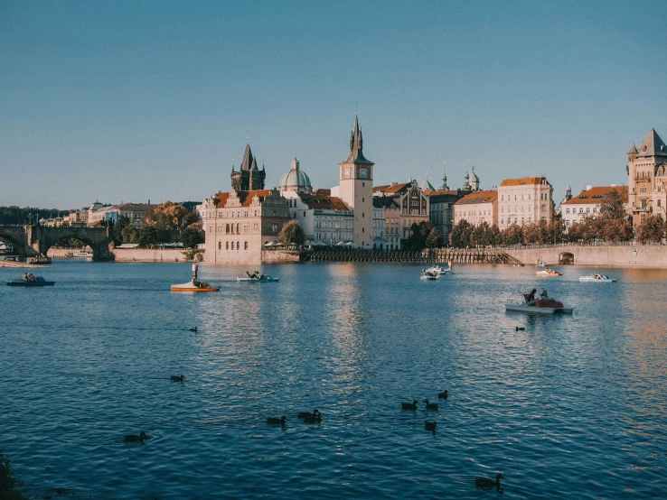 there are birds flying over the water by a city