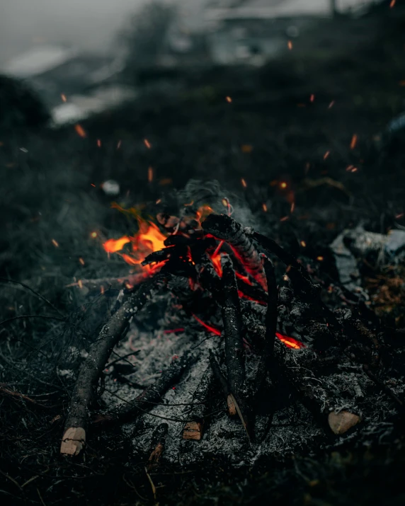 a camp fire with some burnt wood and flame