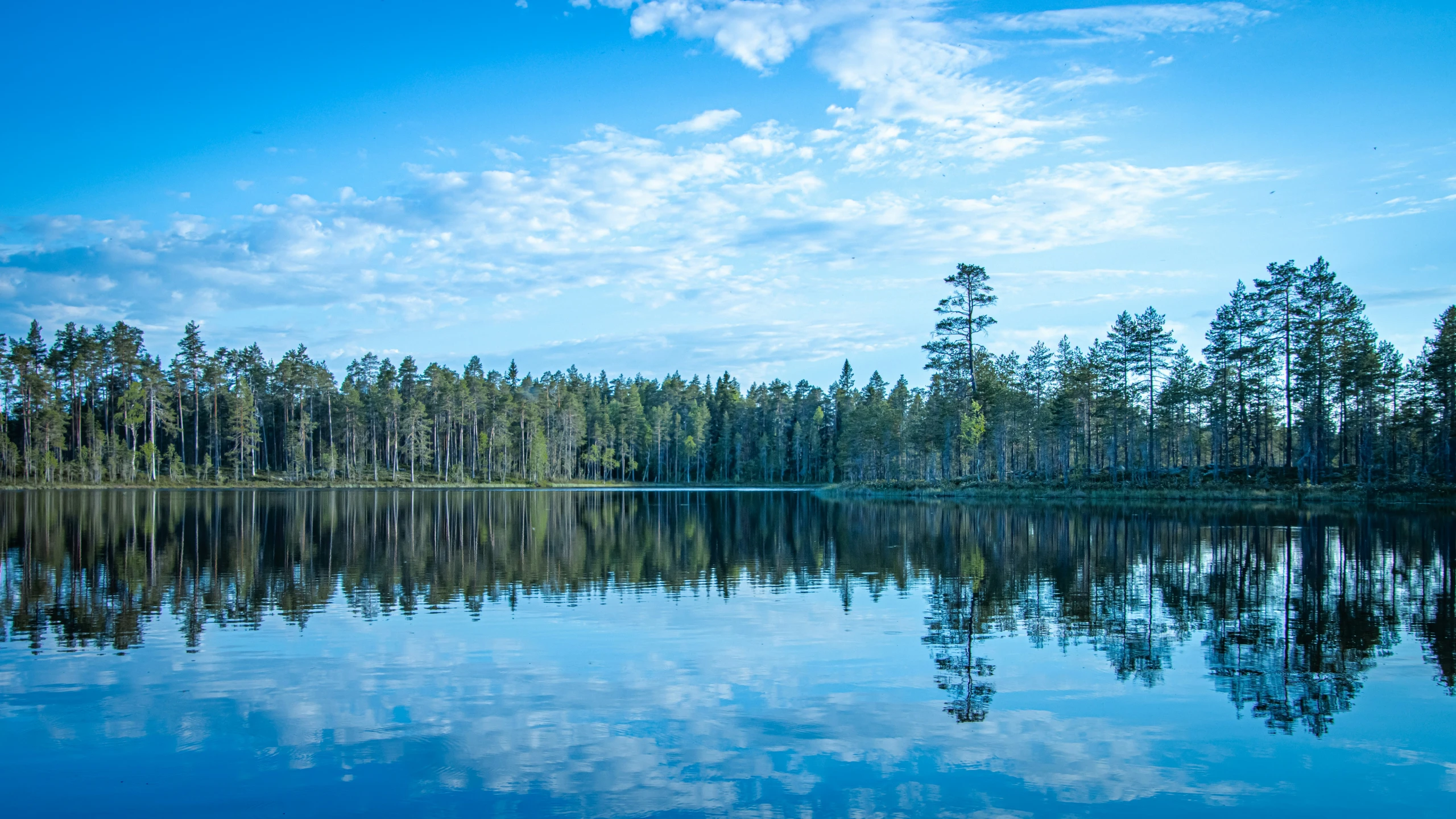 a beautiful blue body of water with forest in the background