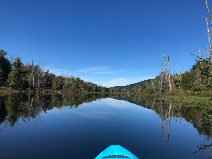 blue boat sits at the edge of a dark pond