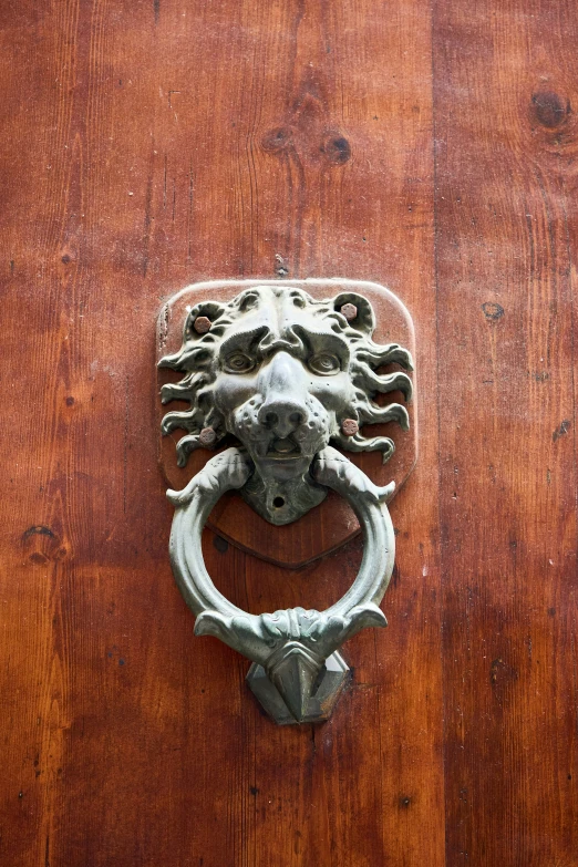 a lion head door knocket on a wooden door