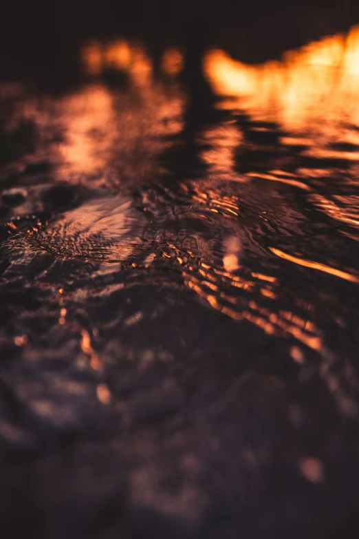 an image of water reflecting sunlight in the wet ground