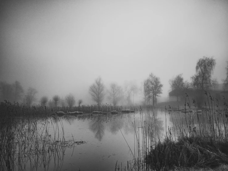 a small lake in a foggy field