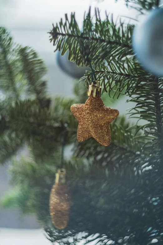 a close up of a tree with a star ornament