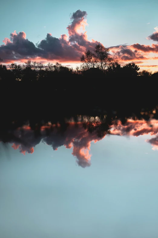 trees and water reflecting the clouds and sky