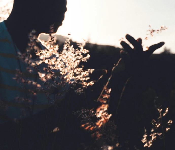 a person's hand and their shadow over some plants