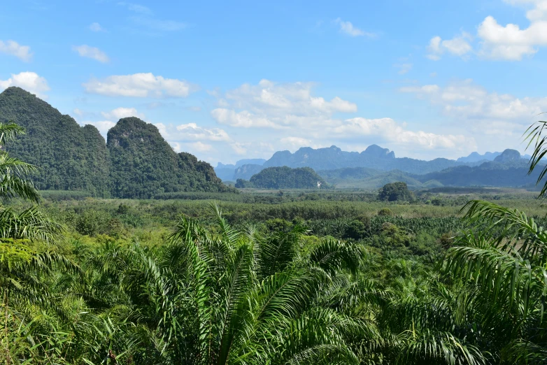 a scenic landscape with mountains in the background