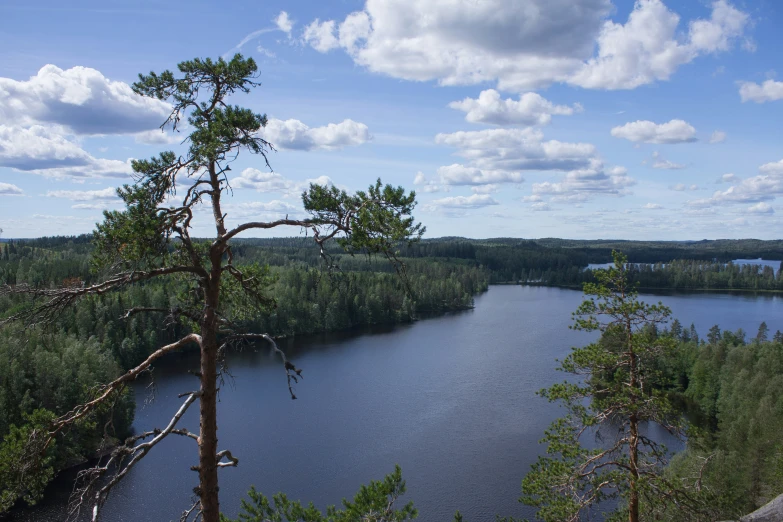 a lake surrounded by trees, a lot of water and blue sky