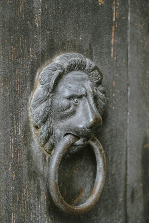 the door handle to a door with a lion head on it