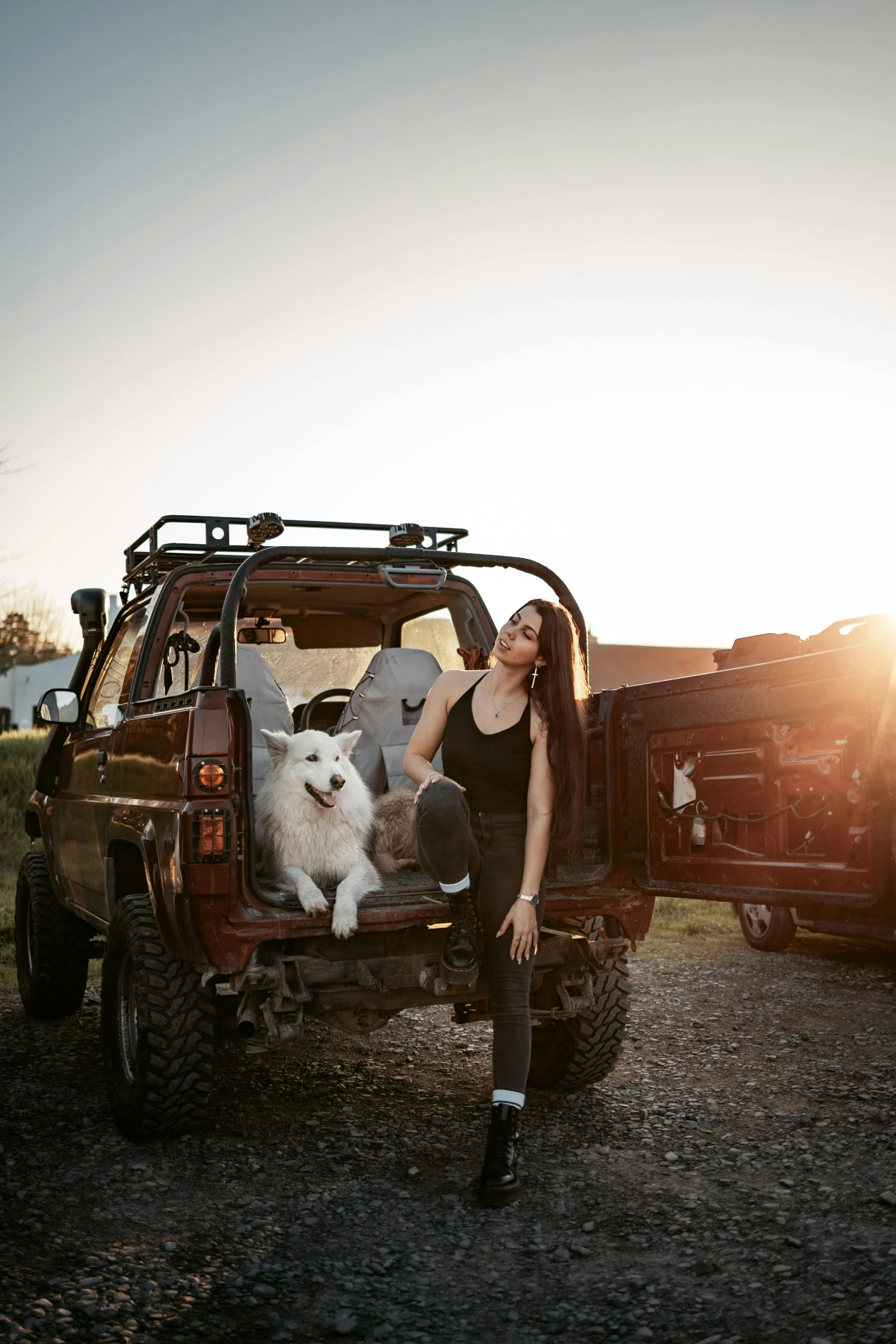 a woman sits in the back of a pick up truck with two dogs