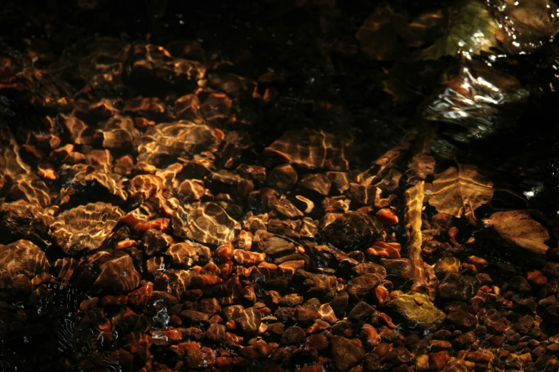 rocks and water are visible under the light