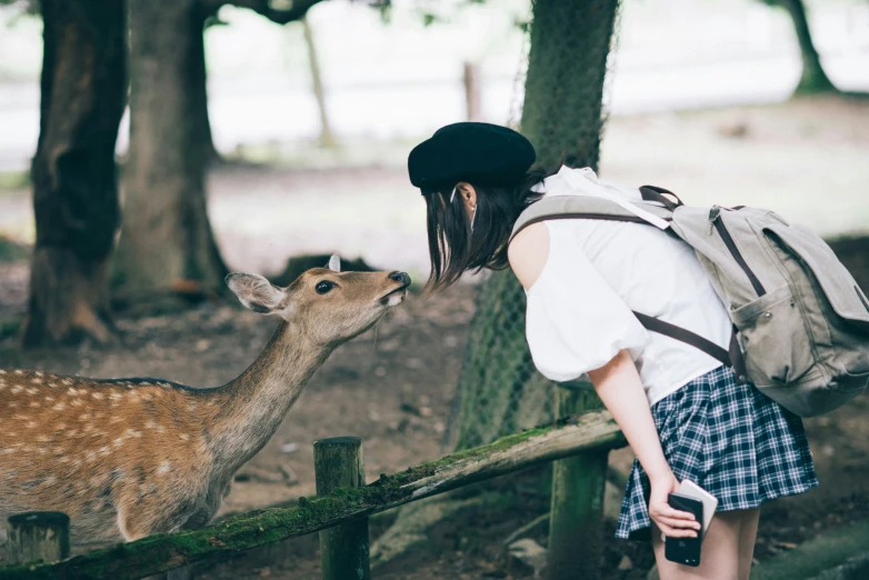 a person in white shirt and back pack touching head of deer