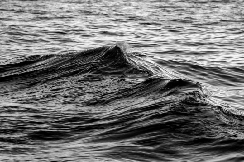 black and white image of the ocean wave