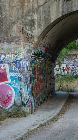 an image of some graffiti and grass under a bridge