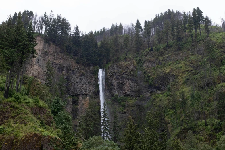 waterfall on a mountain covered in green trees