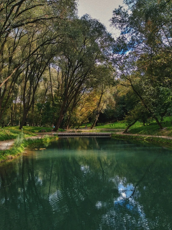 some green trees water and water and rocks