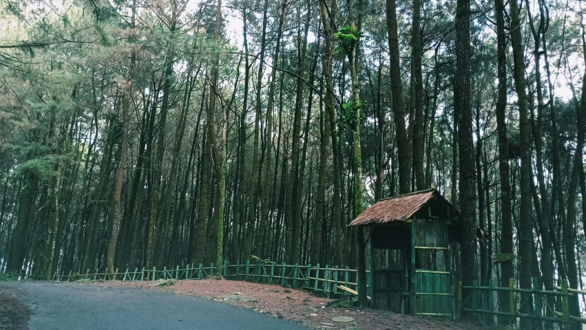 a small wooden shack sits in the middle of a forest