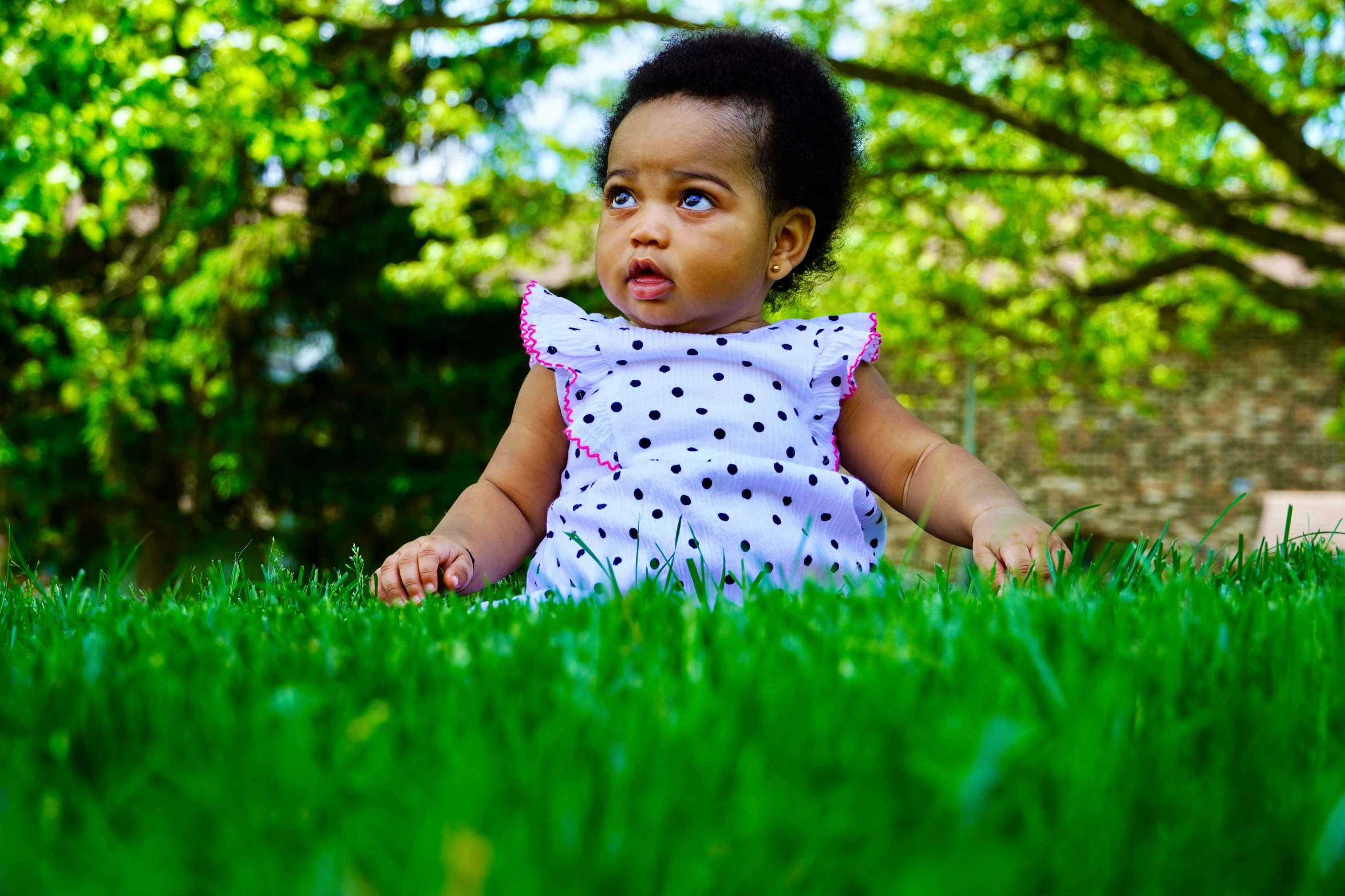 a young child sitting in the grass