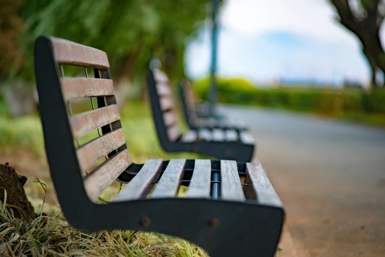 a wooden bench sitting in the middle of a park