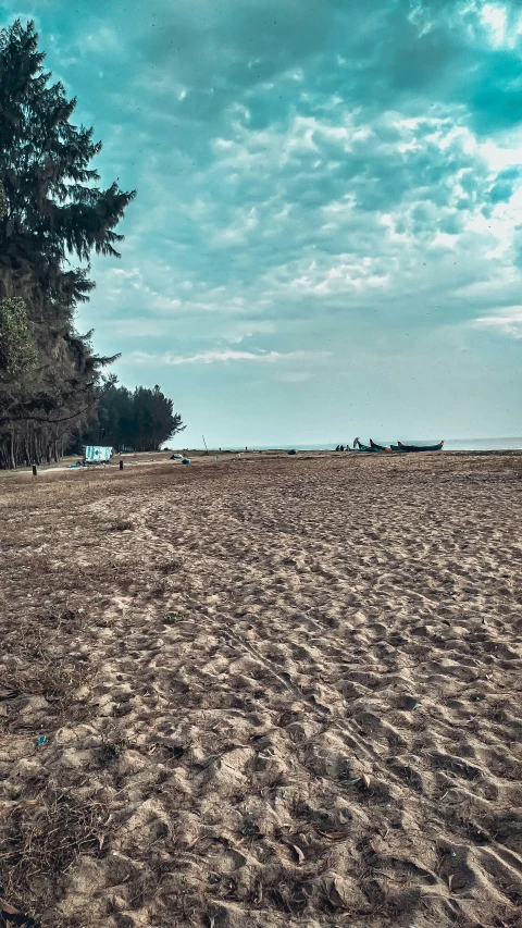 an empty beach that is surrounded by trees