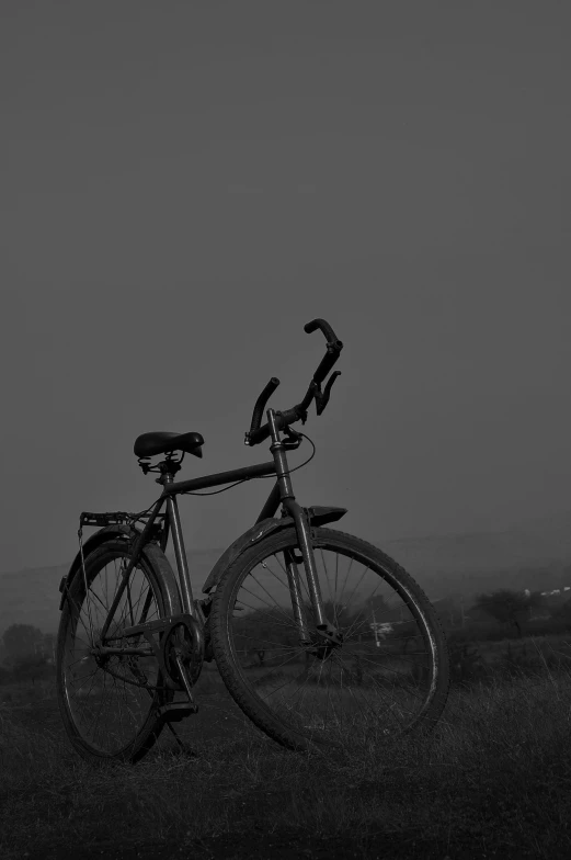 a bicycle leaning up against a gray sky