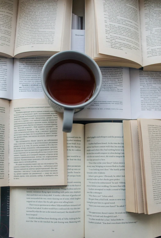 the contents of an open book and cup of tea are shown