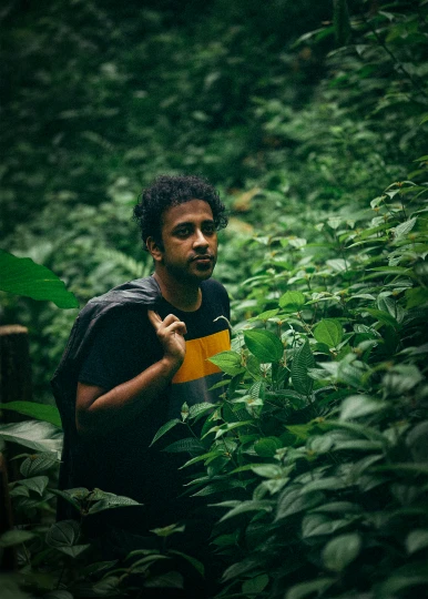 a person standing in a jungle with trees