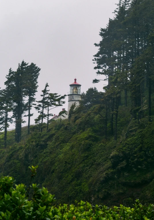 the lighthouse is on top of a hill in the woods