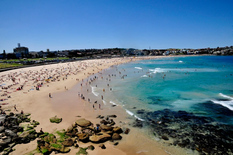 people enjoying the sun at a crowded beach