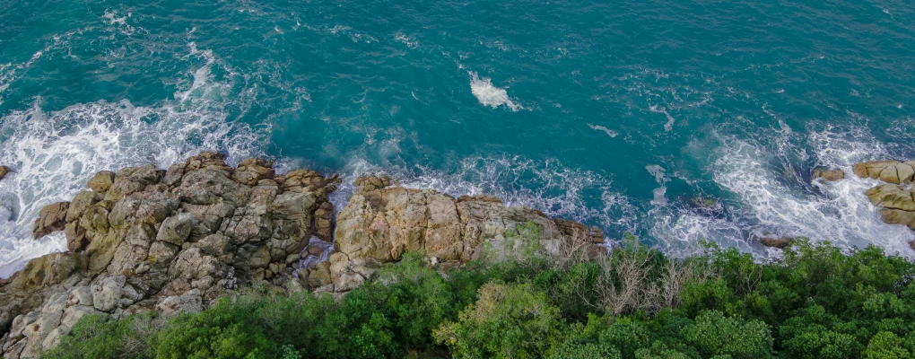 an aerial view of a body of water with trees and rocks