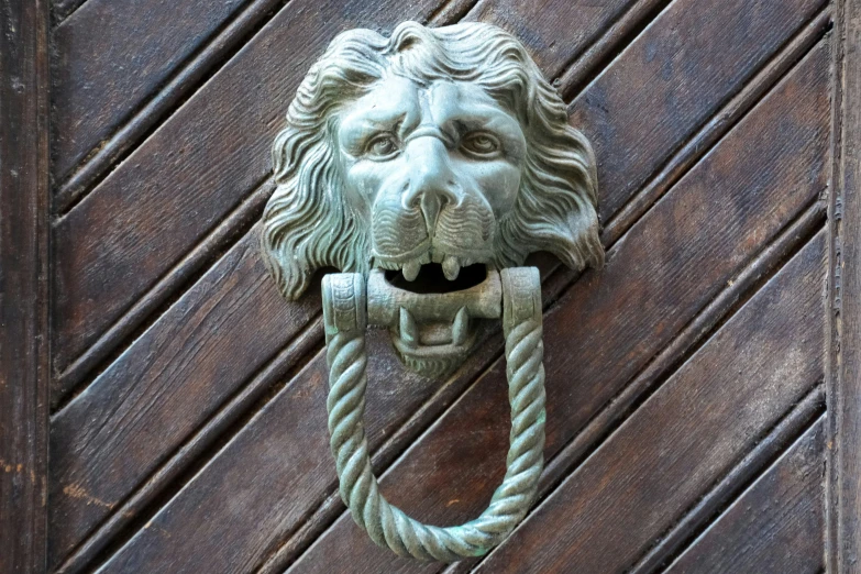 a sculpture of a lion's head with a rope wrapped around it